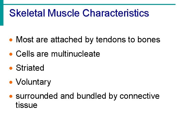 Skeletal Muscle Characteristics · Most are attached by tendons to bones · Cells are