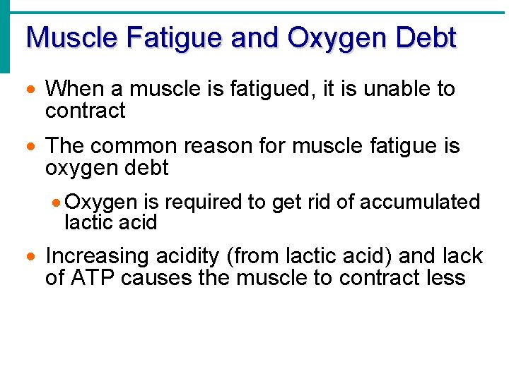 Muscle Fatigue and Oxygen Debt · When a muscle is fatigued, it is unable
