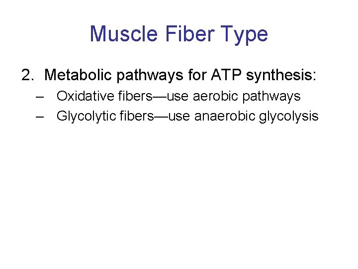 Muscle Fiber Type 2. Metabolic pathways for ATP synthesis: – Oxidative fibers—use aerobic pathways