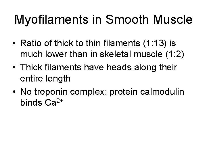 Myofilaments in Smooth Muscle • Ratio of thick to thin filaments (1: 13) is