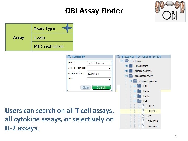 OBI Assay Finder Assay Type Assay T cells MHC restriction Users can search on