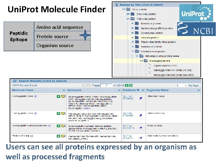 Uni. Prot Molecule Finder Peptidic Epitope Amino acid sequence Protein source Organism source Users