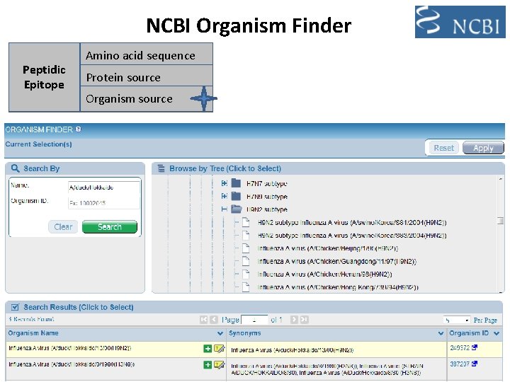 NCBI Organism Finder Peptidic Epitope Amino acid sequence Protein source Organism source 8 