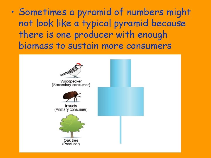  • Sometimes a pyramid of numbers might not look like a typical pyramid