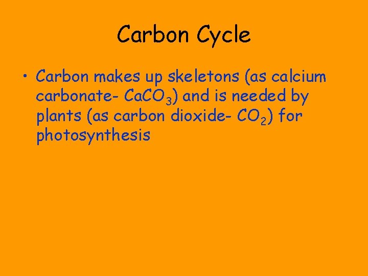 Carbon Cycle • Carbon makes up skeletons (as calcium carbonate- Ca. CO 3) and
