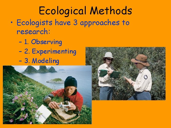 Ecological Methods • Ecologists have 3 approaches to research: – 1. Observing – 2.
