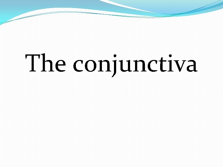 The conjunctiva 