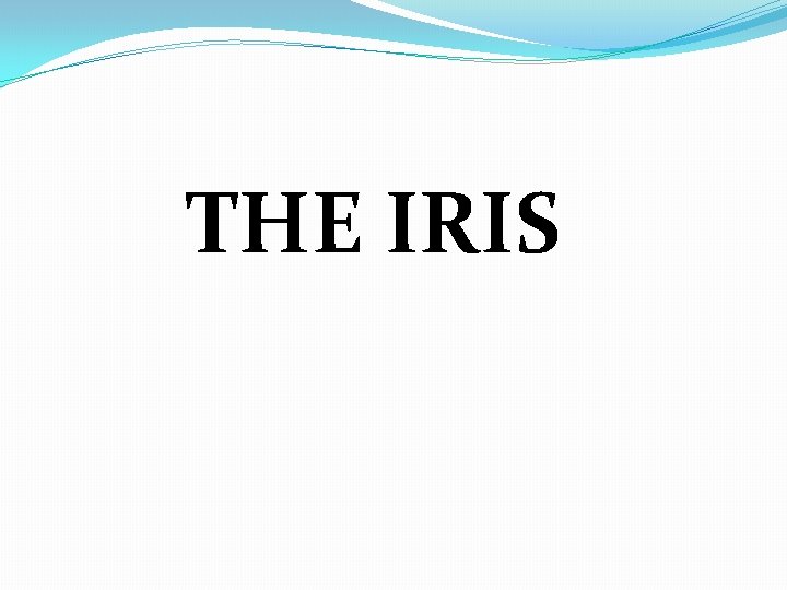 THE IRIS 