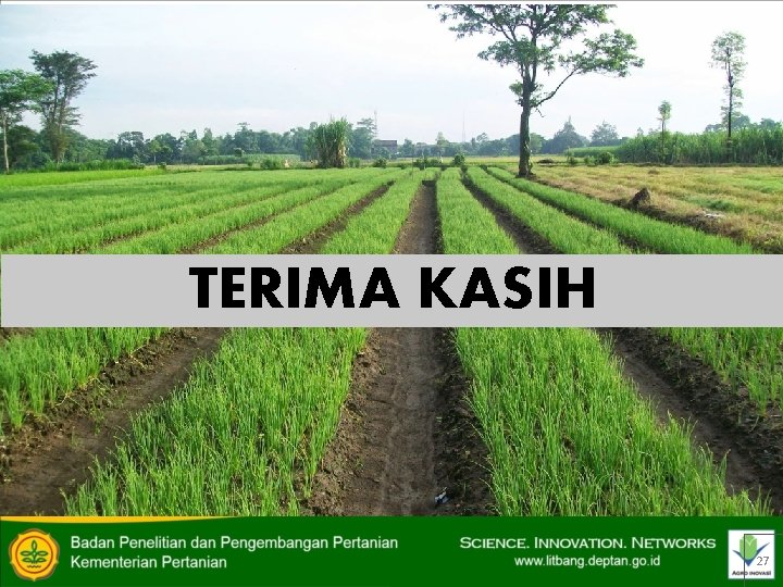TERIMA KASIH 27 