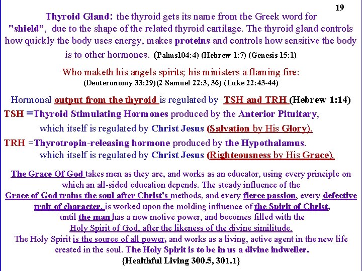 19 Thyroid Gland: the thyroid gets its name from the Greek word for "shield”,