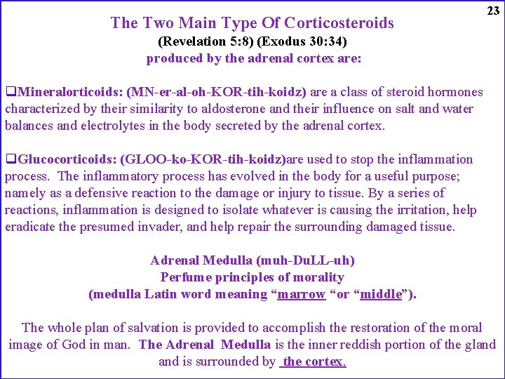 The Two Main Type Of Corticosteroids 23 (Revelation 5: 8) (Exodus 30: 34) produced