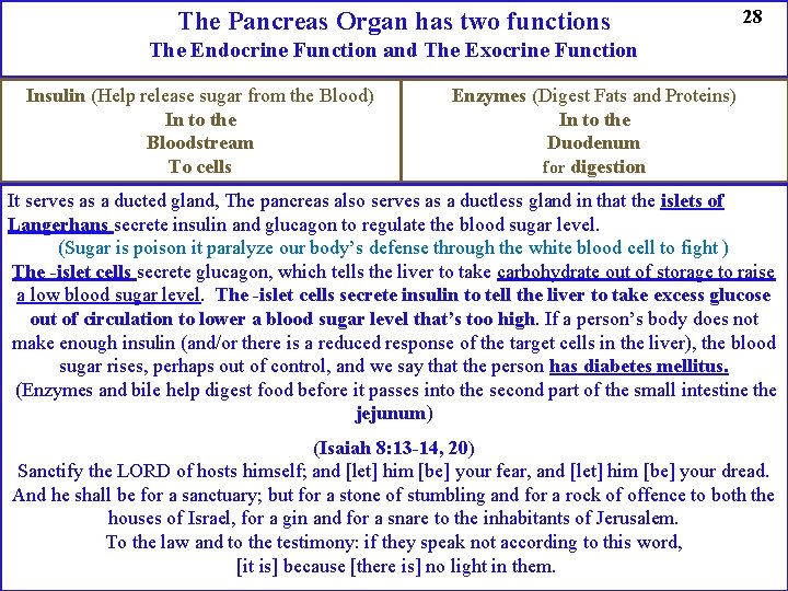 The Pancreas Organ has two functions 28 The Endocrine Function and The Exocrine Function