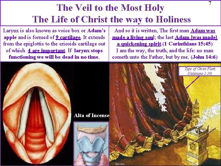 The Veil to the Most Holy The Life of Christ the way to Holiness