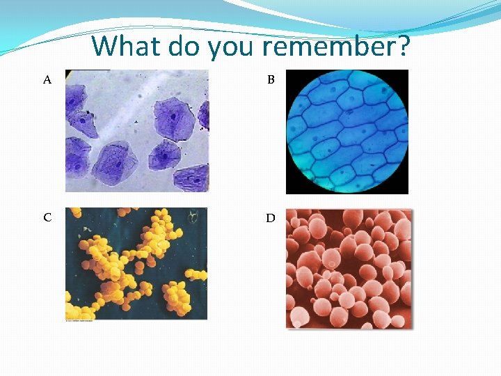 What do you remember? A B C D 