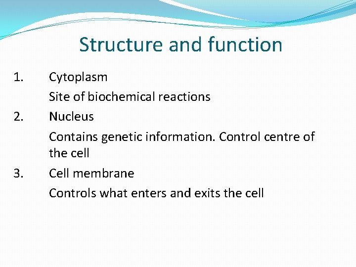 Structure and function 1. 2. 3. Cytoplasm Site of biochemical reactions Nucleus Contains genetic