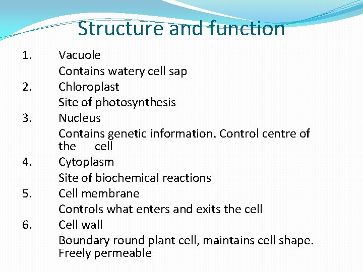 Structure and function 1. 2. 3. 4. 5. 6. Vacuole Contains watery cell sap