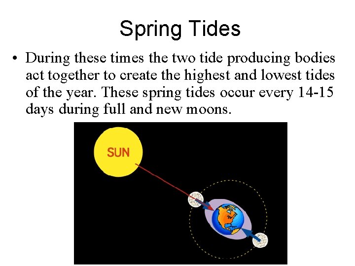 Spring Tides • During these times the two tide producing bodies act together to