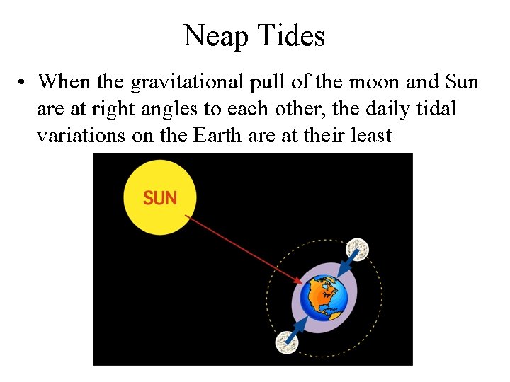 Neap Tides • When the gravitational pull of the moon and Sun are at