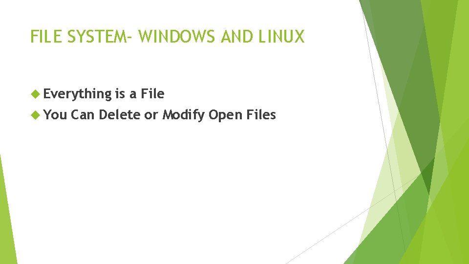 FILE SYSTEM- WINDOWS AND LINUX Everything You is a File Can Delete or Modify FILE SYSTEM- WINDOWS AND LINUX Everything You is a File Can Delete or Modify