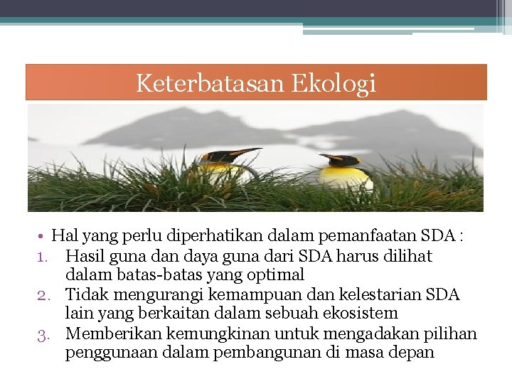 Keterbatasan Ekologi • Hal yang perlu diperhatikan dalam pemanfaatan SDA : 1. Hasil guna