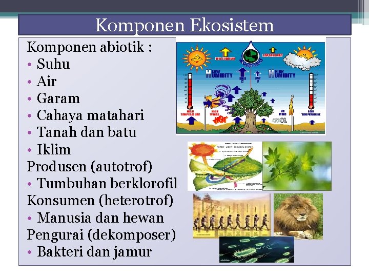 Komponen Ekosistem Komponen abiotik : • Suhu • Air • Garam • Cahaya matahari