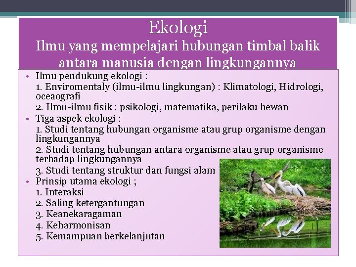 Ekologi Ilmu yang mempelajari hubungan timbal balik antara manusia dengan lingkungannya • Ilmu pendukung