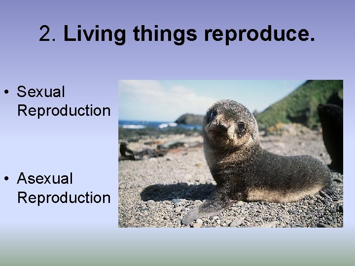 2. Living things reproduce. • Sexual Reproduction • Asexual Reproduction 