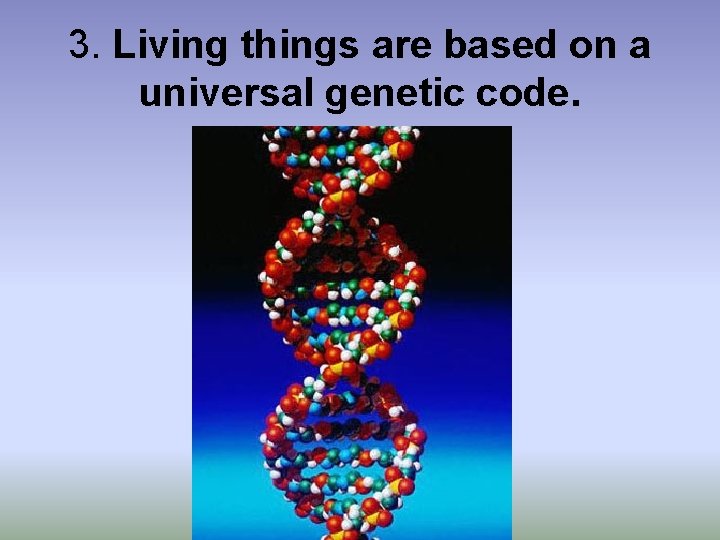 3. Living things are based on a universal genetic code. 