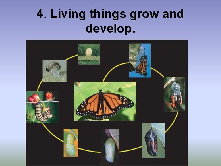 4. Living things grow and develop. 