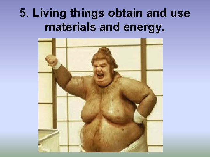 5. Living things obtain and use materials and energy. 