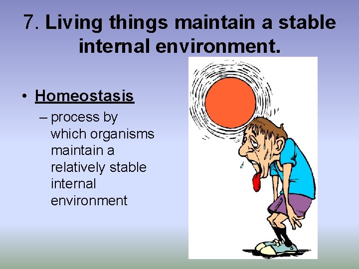 7. Living things maintain a stable internal environment. • Homeostasis – process by which