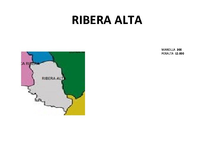 RIBERA ALTA MARCILLA 300 PERALTA 12. 000 