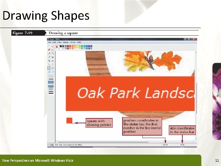 Drawing Shapes New Perspectives on Microsoft Windows Vista XP 11 