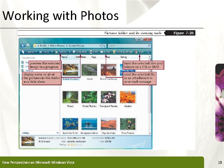 Working with Photos New Perspectives on Microsoft Windows Vista XP 13 