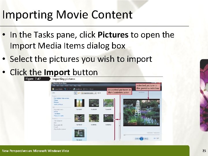 Importing Movie Content XP • In the Tasks pane, click Pictures to open the