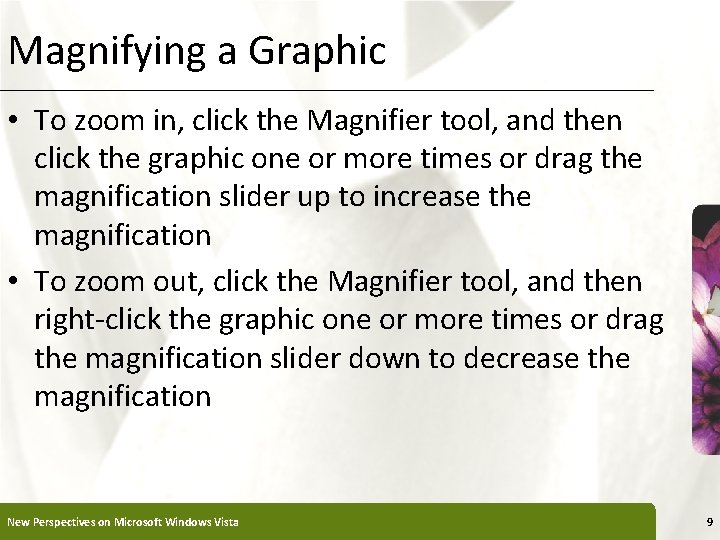 Magnifying a Graphic XP • To zoom in, click the Magnifier tool, and then