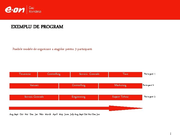 EXEMPLU DE PROGRAM Posibile modele de organizare a stagiilor pentru 3 participanti Trezorerie Controlling