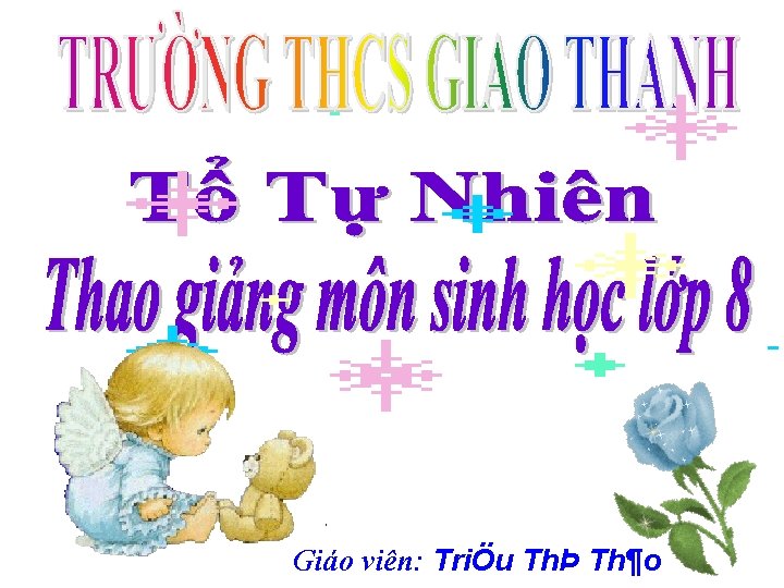 Giáo viên: TriÖu ThÞ Th¶o 