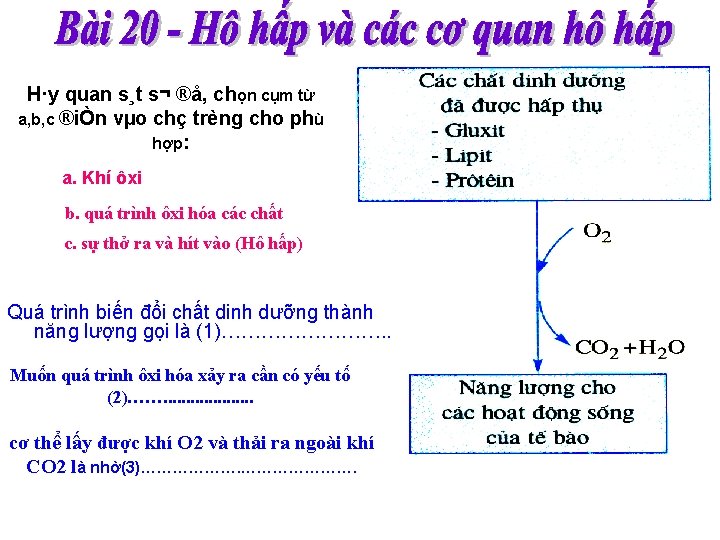 H·y quan s¸t s¬ ®å, chọn cụm từ a, b, c ®iÒn vµo chç