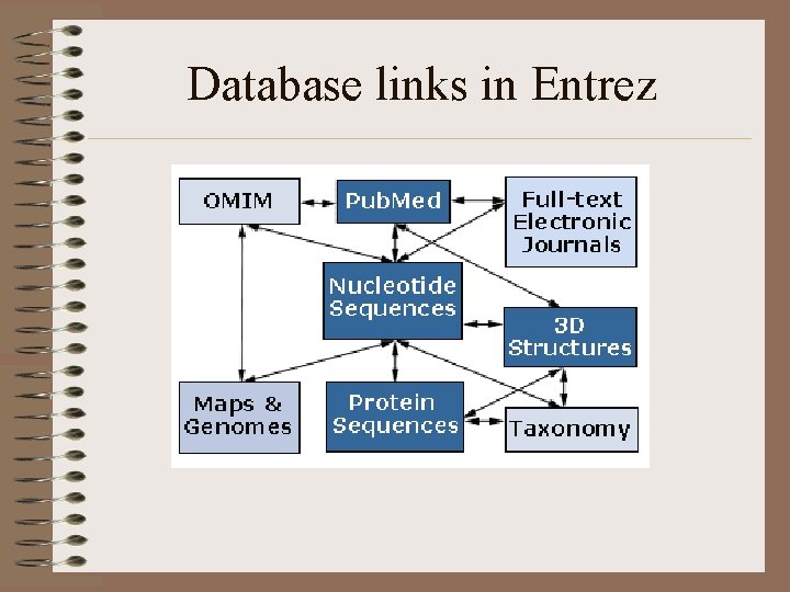 Database links in Entrez 