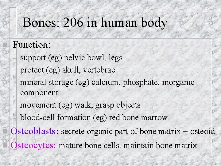 Bones: 206 in human body n Function: – – – support (eg) pelvic bowl,