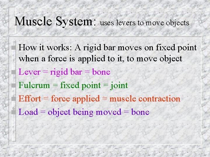 Muscle System: uses levers to move objects How it works: A rigid bar moves