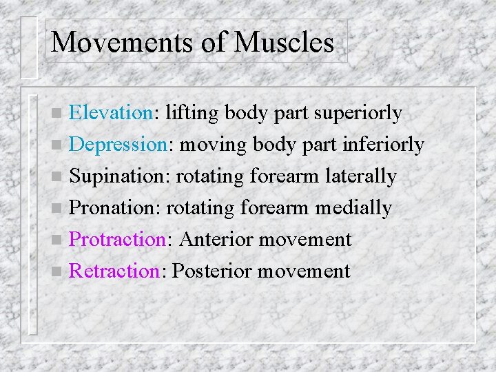 Movements of Muscles Elevation: lifting body part superiorly n Depression: moving body part inferiorly