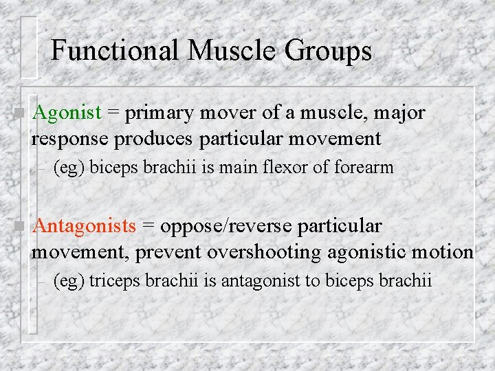 Functional Muscle Groups n Agonist = primary mover of a muscle, major response produces