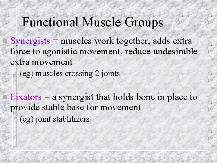 Functional Muscle Groups n Synergists = muscles work together, adds extra force to agonistic