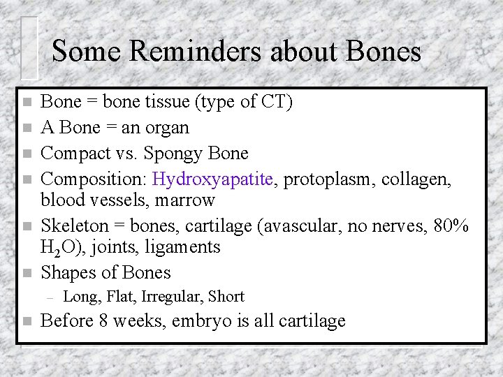 Some Reminders about Bones n n n Bone = bone tissue (type of CT)
