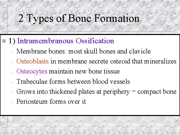 2 Types of Bone Formation n 1) Intramembranous Ossification – – – Membrane bones: