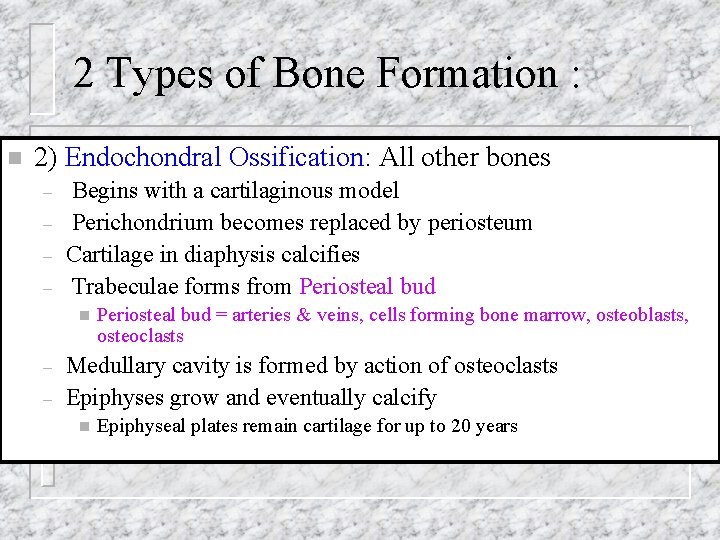 2 Types of Bone Formation : n 2) Endochondral Ossification: All other bones –