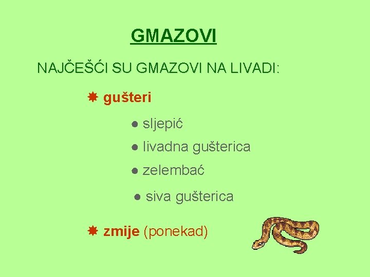 GMAZOVI NAJČEŠĆI SU GMAZOVI NA LIVADI: gušteri ● sljepić ● livadna gušterica ● zelembać