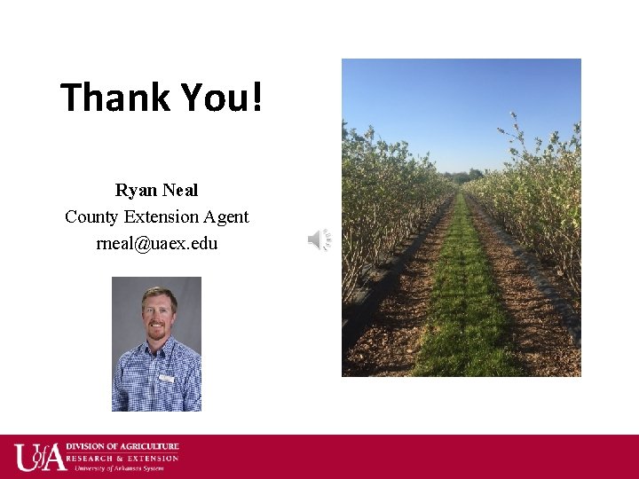 Thank You! Ryan Neal County Extension Agent rneal@uaex. edu 